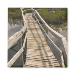 BAHAMAS, Grand Bahama Island, Eastern Side: magnets