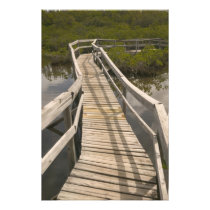 BAHAMAS, Grand Bahama Island, Eastern Side: