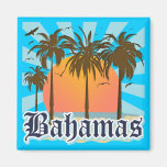 Bahamas Islands Beaches Refrigerator Magnets