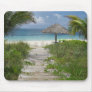 Bahamas Mousepad