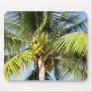 Bahamas Mousepad