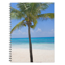 Bahamas Palm Tree Note Books