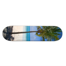 Bahamas Palm Tree Skate Board Decks