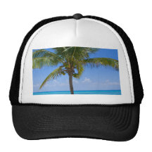 Bahamas Palm Tree Trucker Hats
