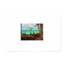 Bahama's posters by paulwdavis Bahama's posters