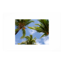 Bahamas posters by friedchkn22 Bahamas posters