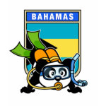 This cute panda loves to go scuba diving in the Bahamas! The Carribean has such beautiful coral reefs and marine life! Panda wears double tanks, a scuba mask & reg, and green fins. What a cutie! A great gift for any scuba diver who loves to go to the Bahamas.