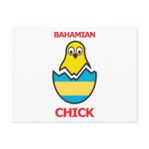 Bahamian Chick Post Card