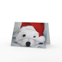 bahhumbug greeting card