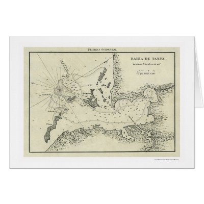 Bahia De Tampa Florida Map 1809 Greeting Card by lc_maps
