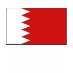 Bahrain Flag Map Spaghetti Top