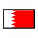 Bahrain Flag shirt
