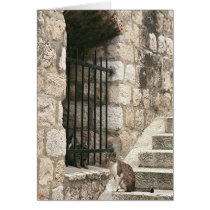 "bail me out" Card (blank inside) cards