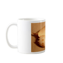 Bailer Shell mugs