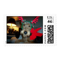 Bailey at Christmas postage