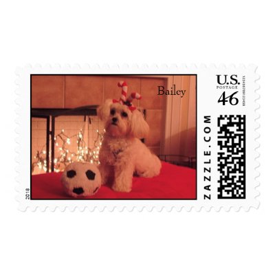 Bailey, Bailey Postage Stamp by trisaratops14