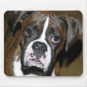 Bailey Close Up mousepads