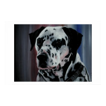 Bailey posters