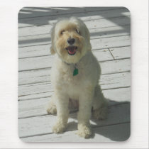 Bailey the Beautiful Dog on the Deck Mousepad