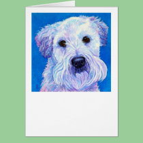 "Bailey" - Wheaten Terrier Card cards