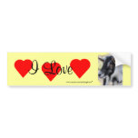 BailyBumperSticker-customize Bumper Stickers