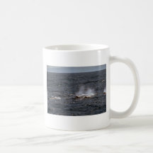 Baird's beaked whale coffee mug