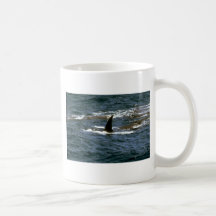 Baird's beaked whale coffee mugs