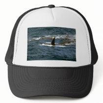 Baird's beaked whale mesh hat
