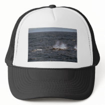 Baird's beaked whale trucker hat