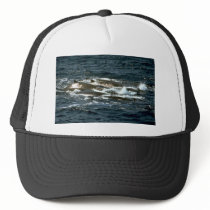Baird's beaked whale mesh hats