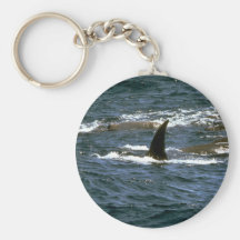 Baird's beaked whale key chain