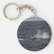 Baird's beaked whale key chains