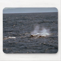 Baird's beaked whale mouse pads