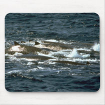 Baird's beaked whale mouse pad