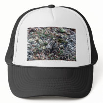 Baird's Sandpiper Camouflaged Trucker Hats
