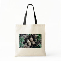 Baird's Sandpiper Nest with Eggs Bags