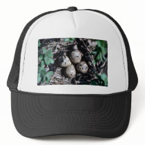 Baird's Sandpiper Nest with Eggs Mesh Hat
