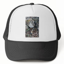 Baird's Sandpiper on Nest Trucker Hats