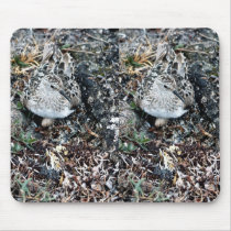 Baird's Sandpiper on Nest Mousepads