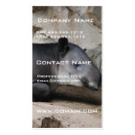 Bairds Tapir Business Card