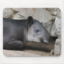 Baird's Tapir Mouse Pad