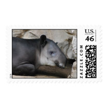 Bairds Tapir Postage Stamp