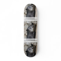 Bairds Tapir Skateboard