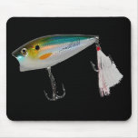 Bait and Gear Collection