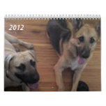 Baja/Hercules Calendar