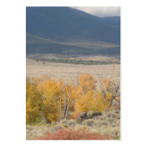Baker, Nevada business cards by NJDragoon Baker, Nevada business cards