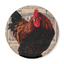 Baker's Special Poultry Fridge Magnet