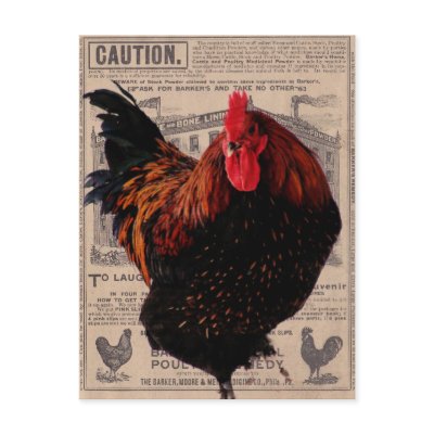 Baker's Special Poultry Post Card by angelandspot