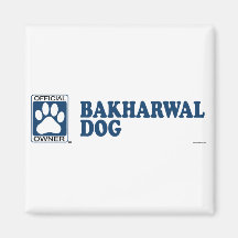 Bakharwal Dog Blue Magnet