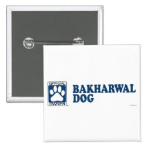 Bakharwal Dog Blue Pinback Button